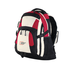 The Urban Backpack